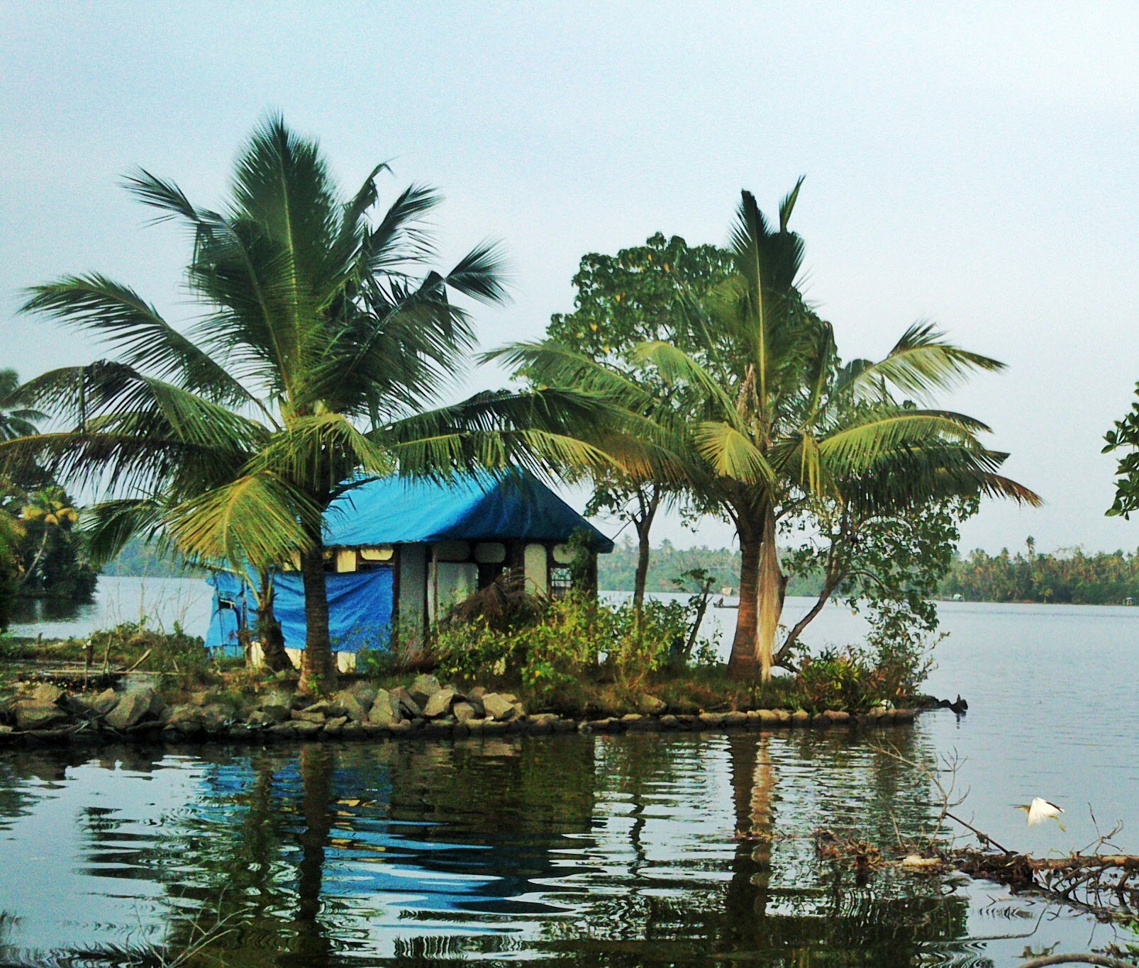 Second Romantic Endeavour — 7
