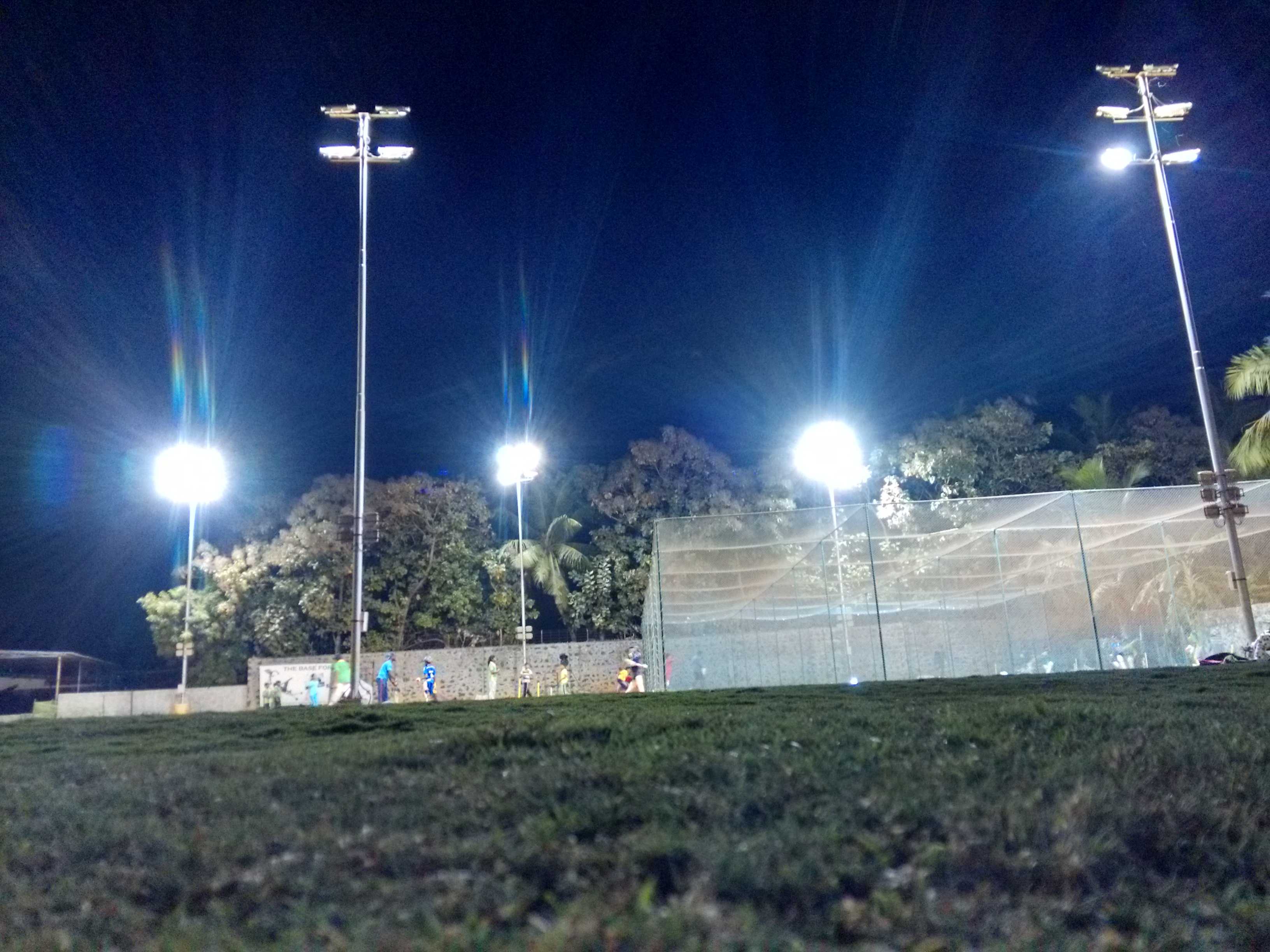 Professional Cricket, more Injuries — 2